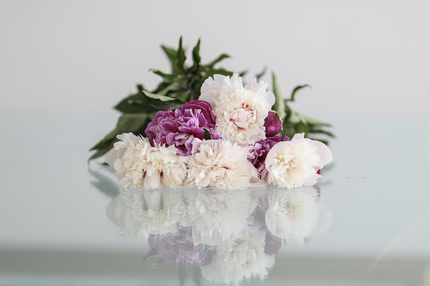 Подарок, достойный даты – какие цветы дарят на юбилей