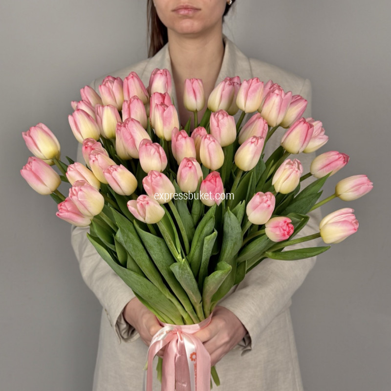 Розовые тюльпаны, 51шт