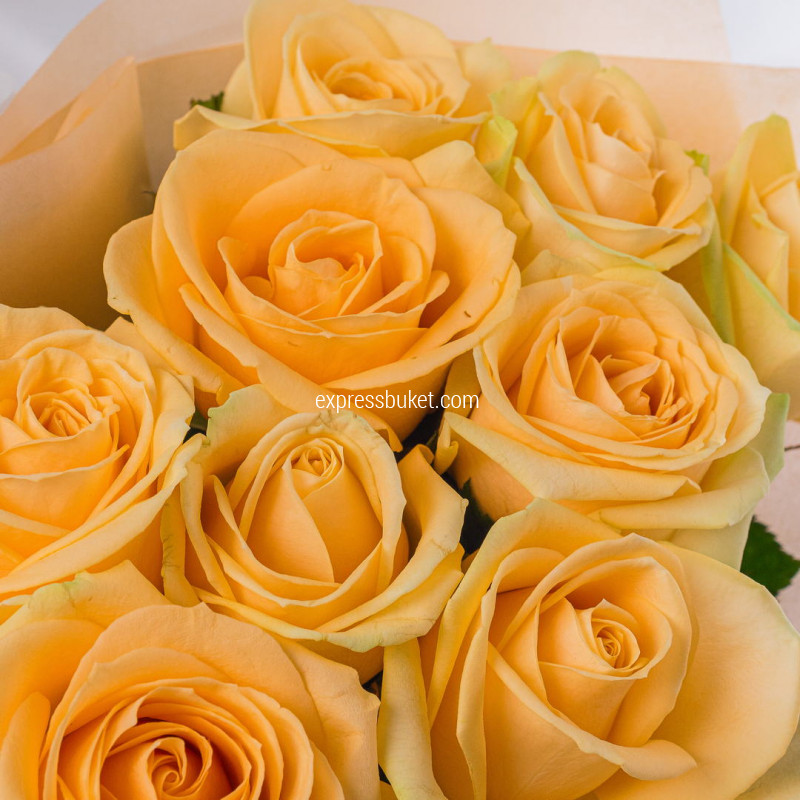 Букет роз Пич Аваланж 9 шт