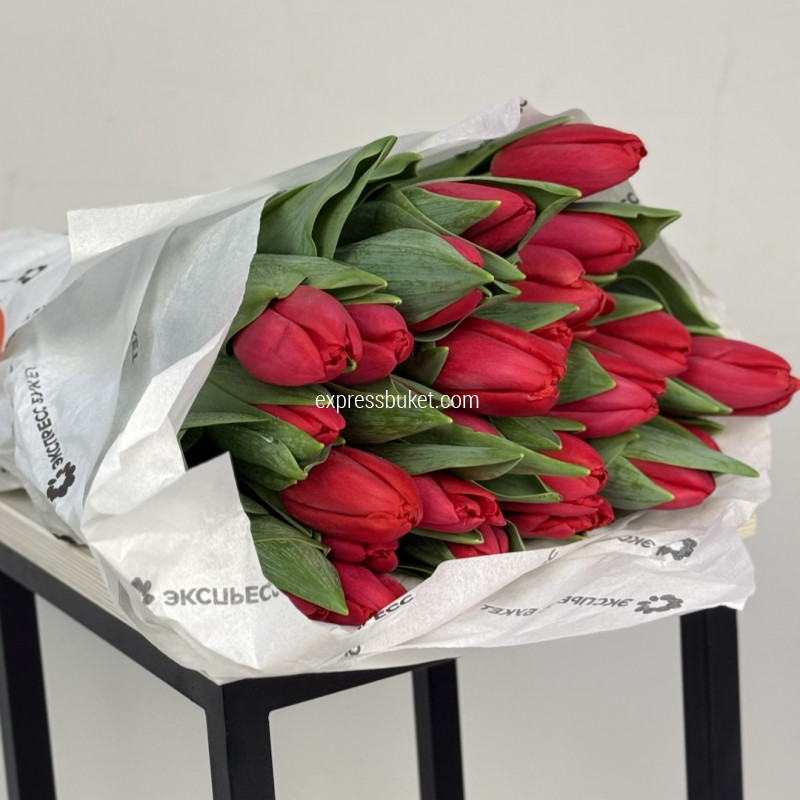 Тюльпаны красные, 25 шт